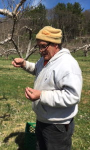 Steve Wood in the Orchard