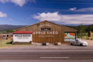 Cider Chat Ep 31 Sam Reid and Willie Smiths Apple Shed