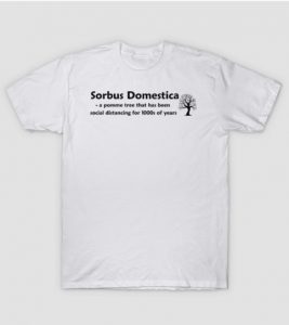 Sorbus Domestica -t shirt at Cider Chat Teepublic Store
