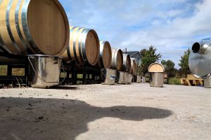 FieldBird Barrels stacked outside episode 224 Cider Chat