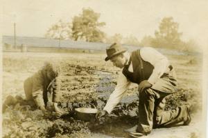 Booker T. Washington and son picking strawberries, used with permission for Jones Library