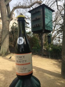 Force of Gravity 2017 Cider, Knightberg Brewery