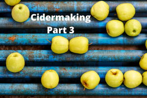 Cidermaking Part 3 | Chem