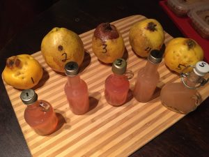 Quince and juice samples episode 248 Cider Chat