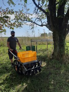 Cider Chat Episode 251 Kertelreiter tools in the orchard