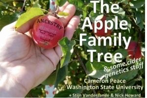 Apple Identification with Dr Peace episode 263