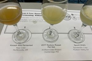313 Wild Clean and Free - ciders in tasting