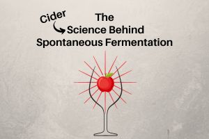 Ep 372 Cider Chat Feature photo - for Spontaneous Fermentation 300 × 200 px)