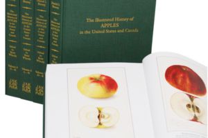 Illustrated guide to apples in the United States and Canada, by Dan Bussey
 300x200