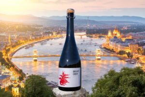 Bright Cider bottle overlooking the Danube River and Hungarian Parliament in Budapest, Hungary.