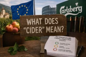 Editorial illustration showing an orchard, EU flag, Carlsberg branding, and a proposed EU cider labeling document beneath the question "What Does 'Cider' Mean?"